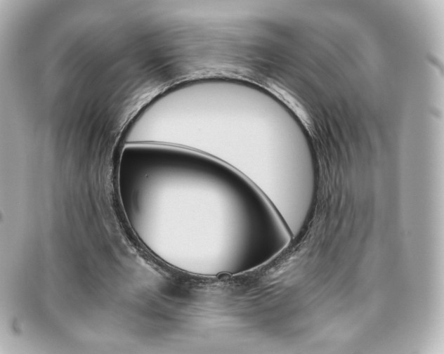 X0000096400485200801241007