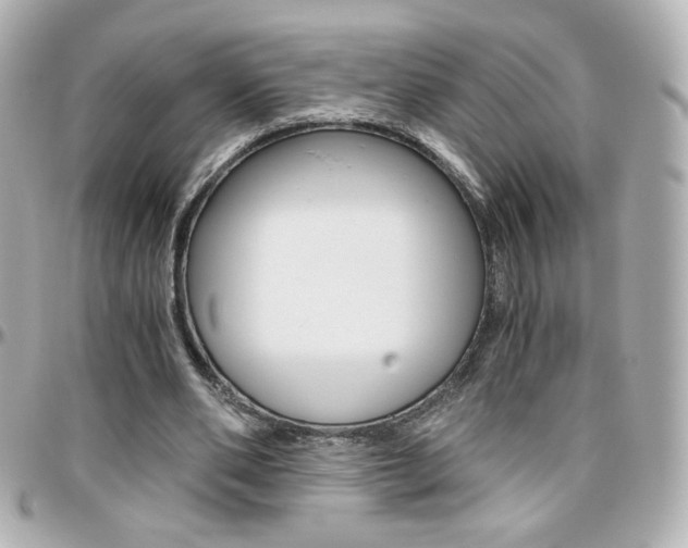 X0000096400486200801241007