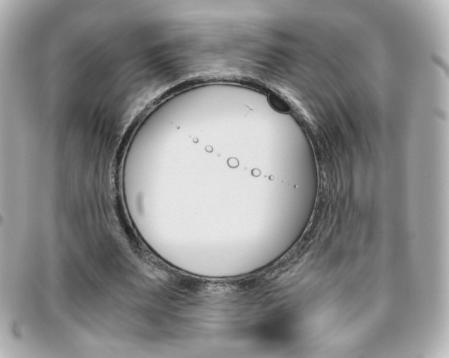 X0000096400487200801241007
