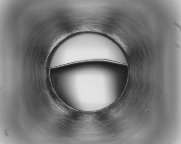 X0000096400488200801241007