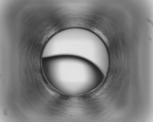 X0000096400489200801241007
