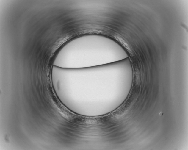 X0000096400490200801241007
