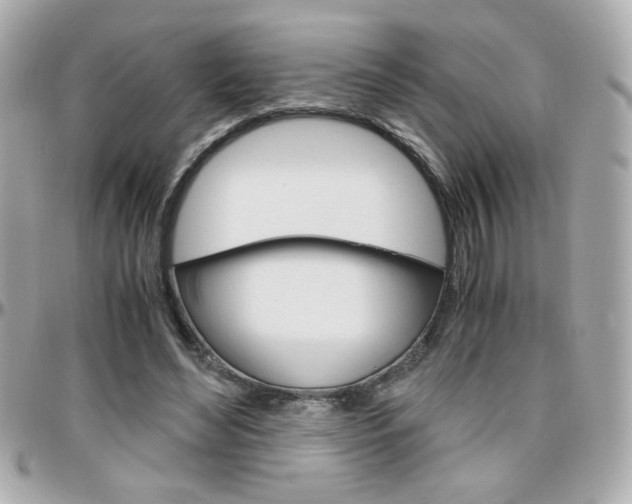 X0000096400492200801241007