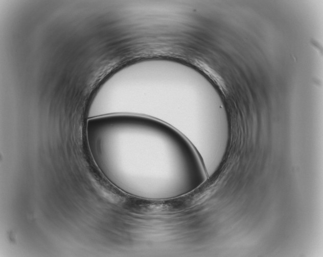 X0000096400493200801241007