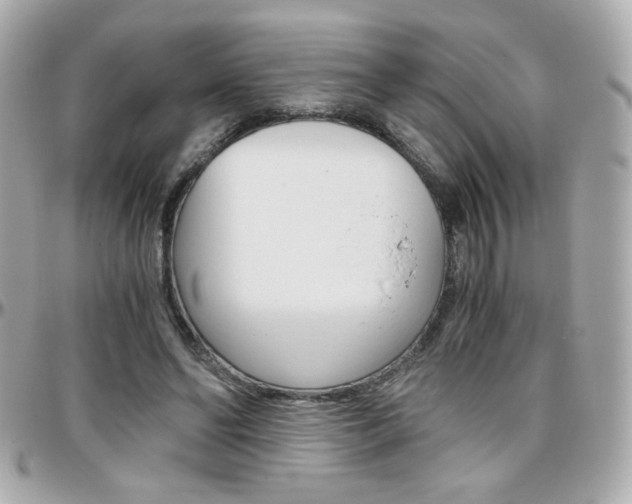 X0000096400494200801241007