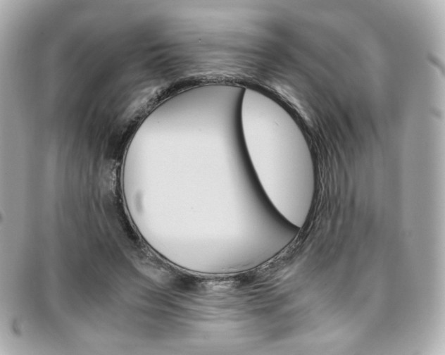 X0000096400495200801241007