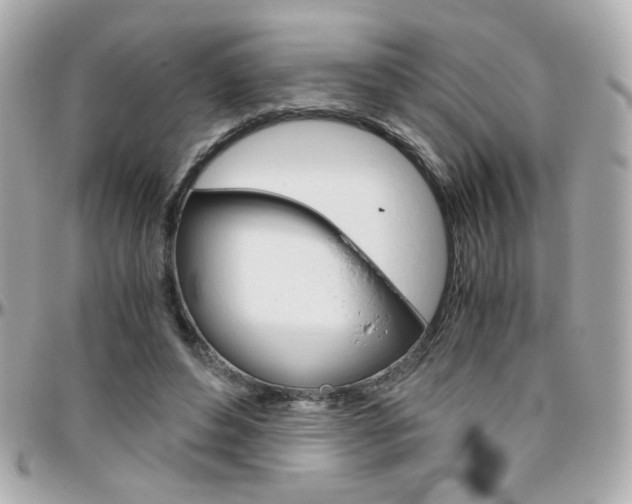 X0000096400496200801241007
