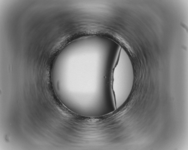 X0000096400497200801241007