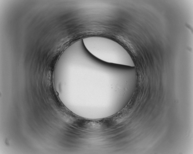 X0000096400498200801241007