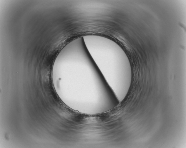 X0000096400499200801241007