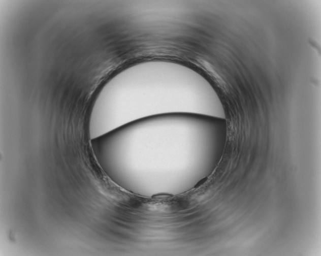 X0000096400500200801241007