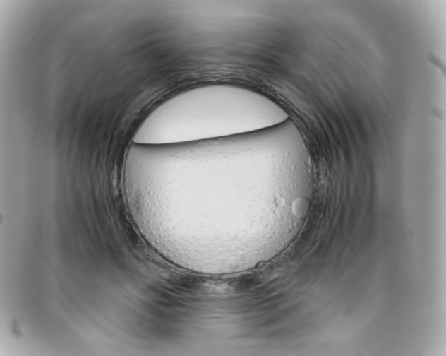 X0000096400502200801241007