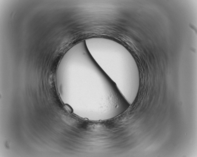 X0000096400503200801241007