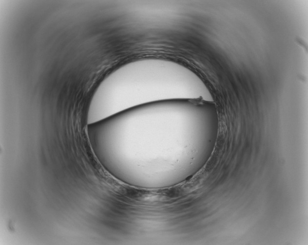 X0000096400504200801241007