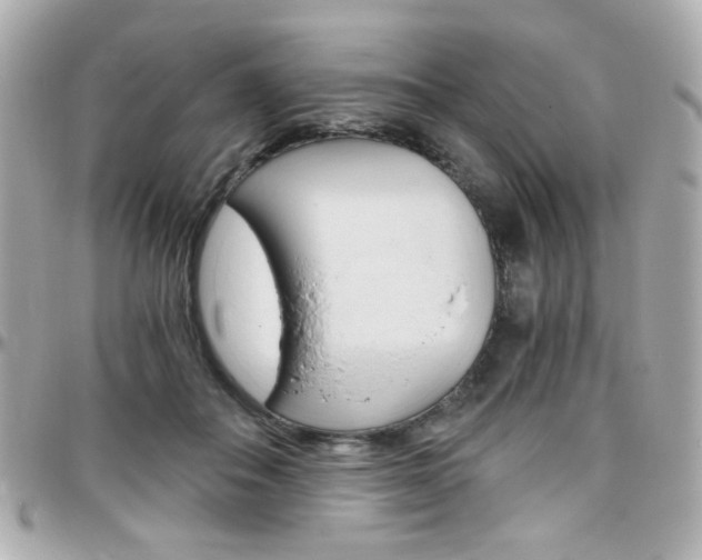 X0000096400506200801241007