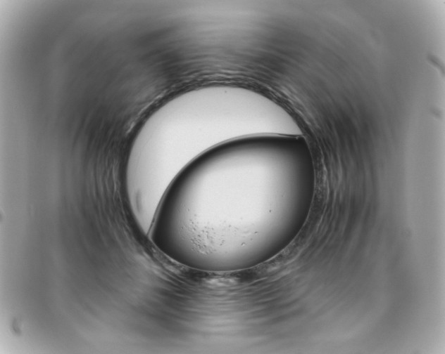 X0000096400508200801241006
