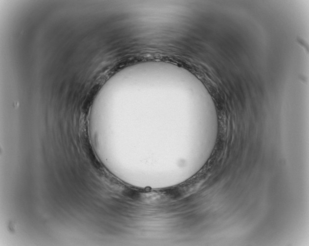 X0000096400511200801241006