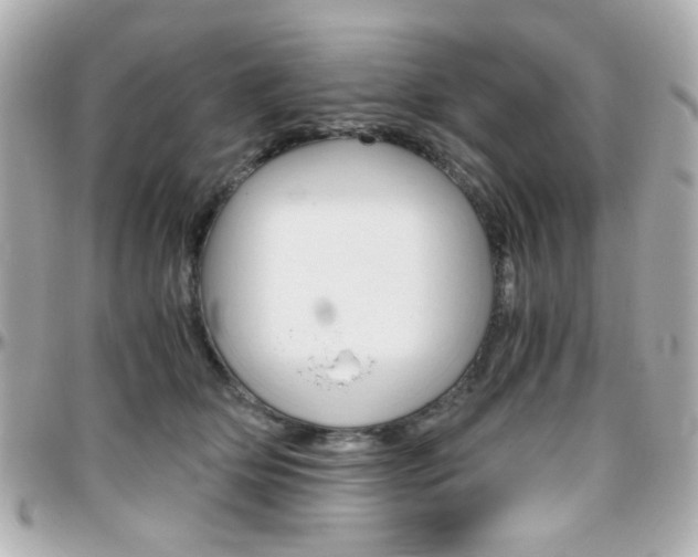 X0000096400514200801241006