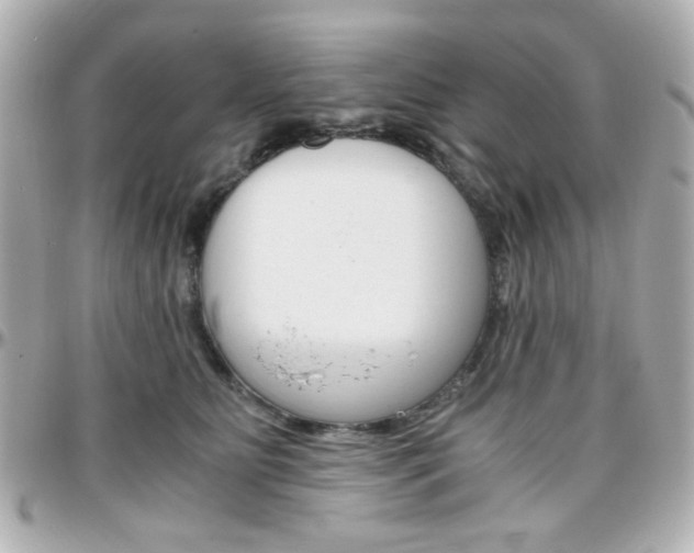 X0000096400515200801241006