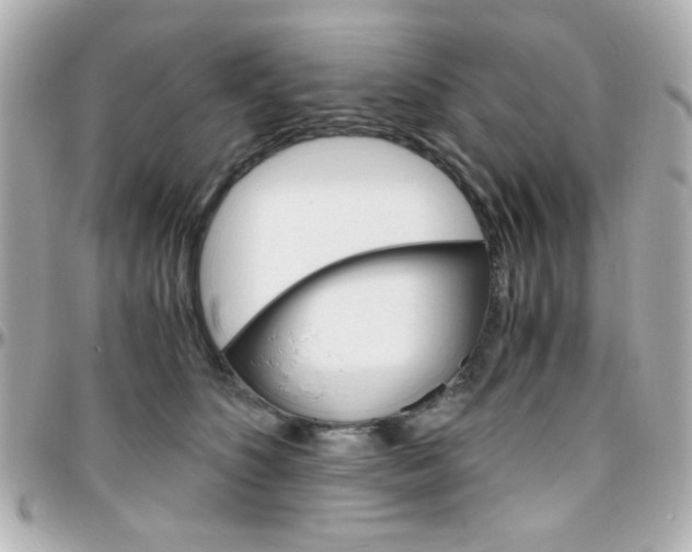 X0000096400516200801241006