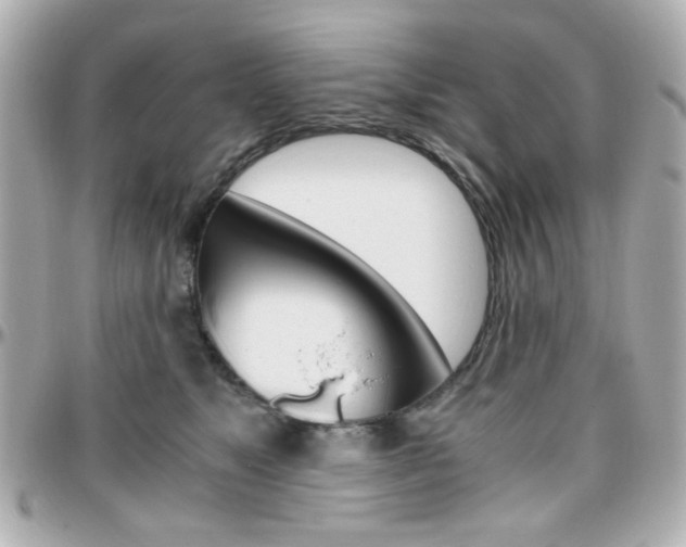 X0000096400517200801241006