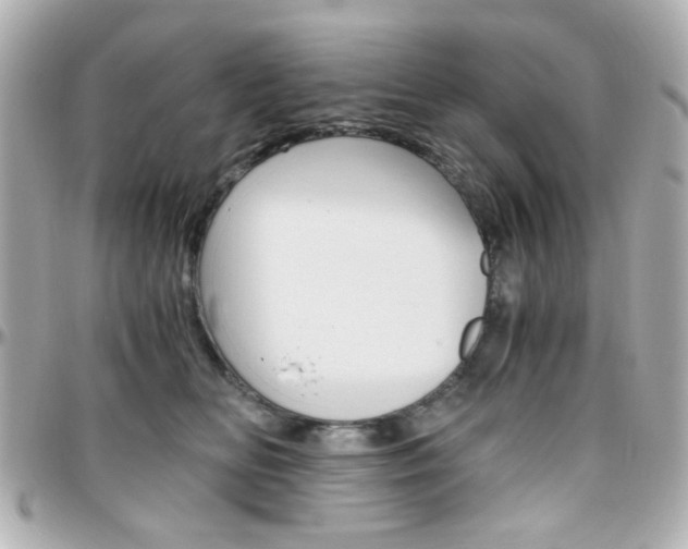X0000096400518200801241006