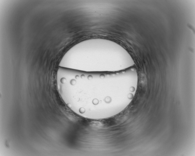 X0000096400519200801241006