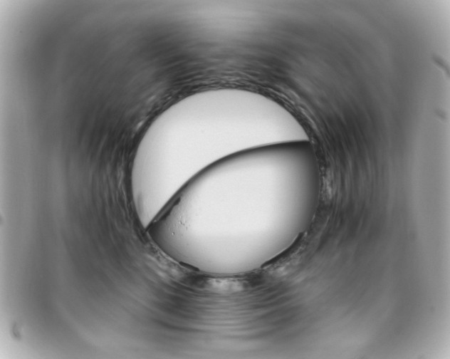 X0000096400520200801241006