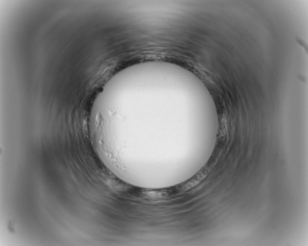X0000096400522200801241006