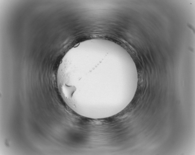 X0000096400523200801241006