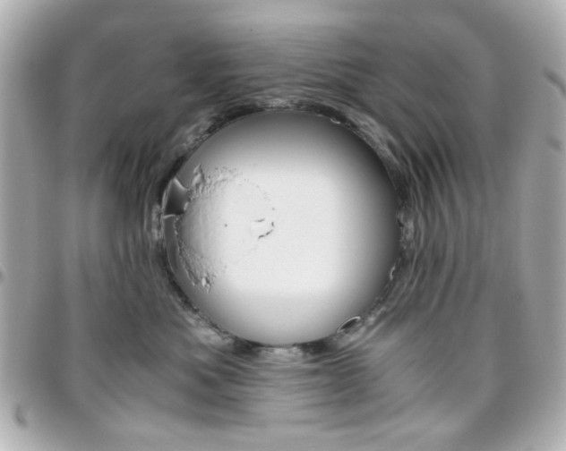 X0000096400525200801241006