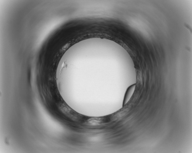 X0000096400526200801241006
