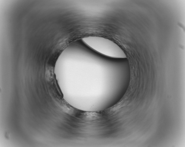 X0000096400528200801241006