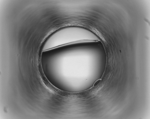 X0000096400530200801241006