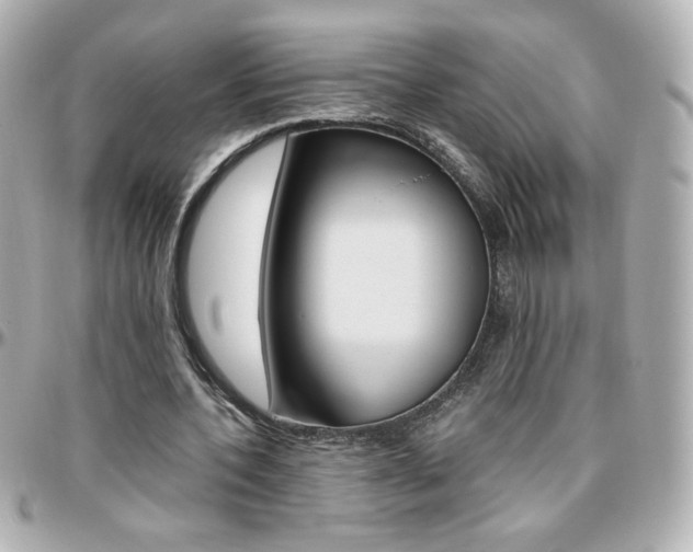 X0000096400532200801241006