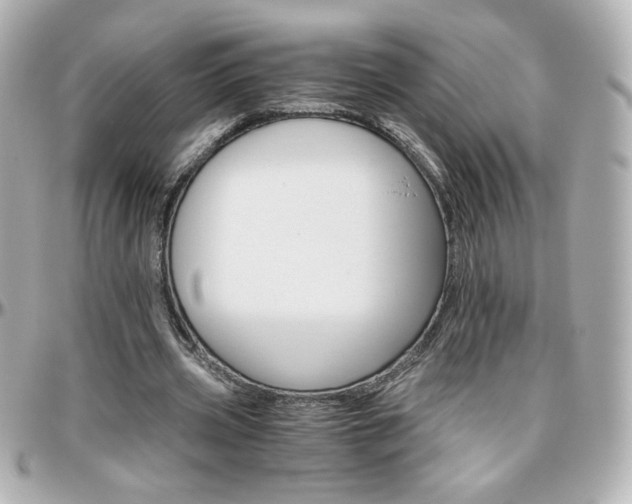 X0000096400533200801241006