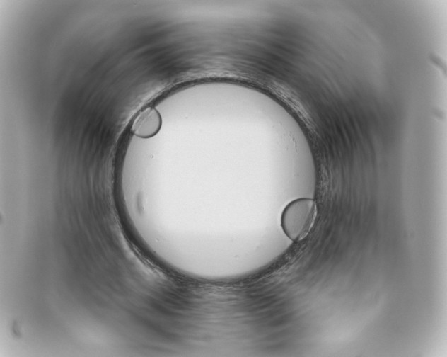 X0000096400534200801241006