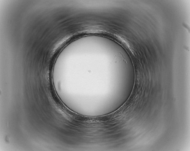 X0000096400535200801241006