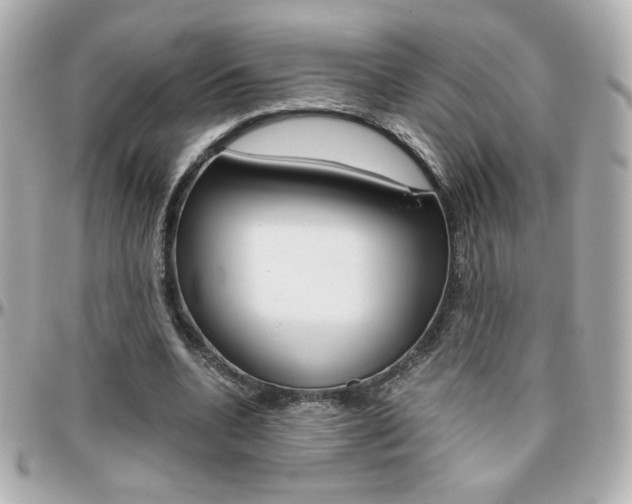 X0000096400536200801241006