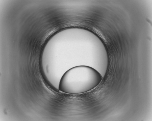 X0000096400538200801241006
