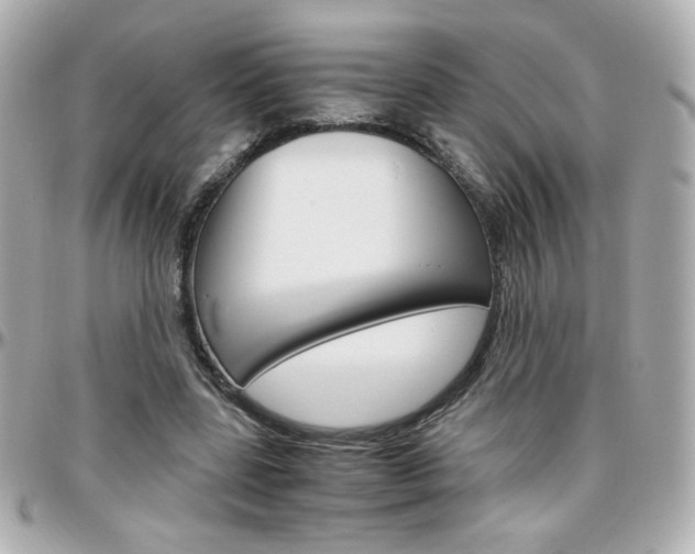X0000096400539200801241006