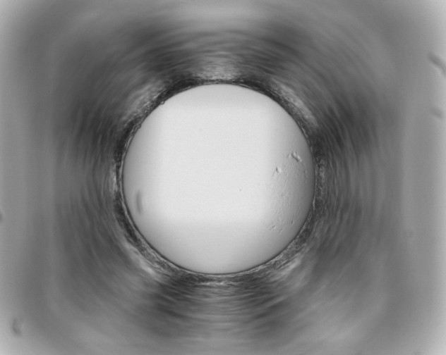 X0000096400541200801241006