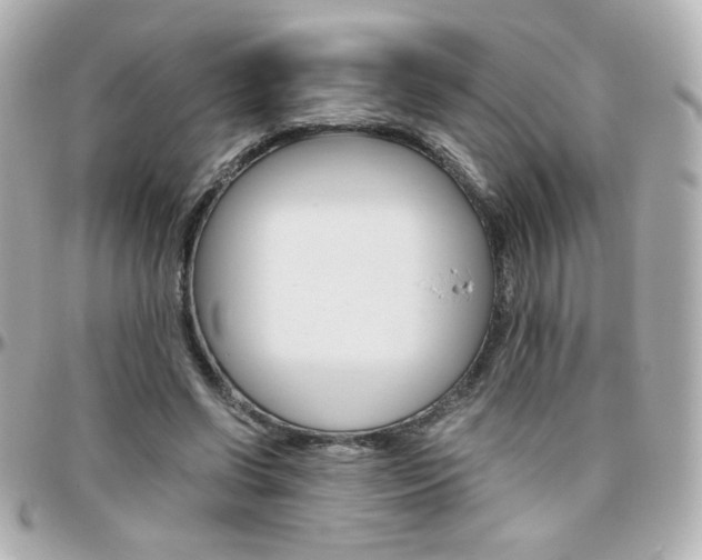 X0000096400542200801241006