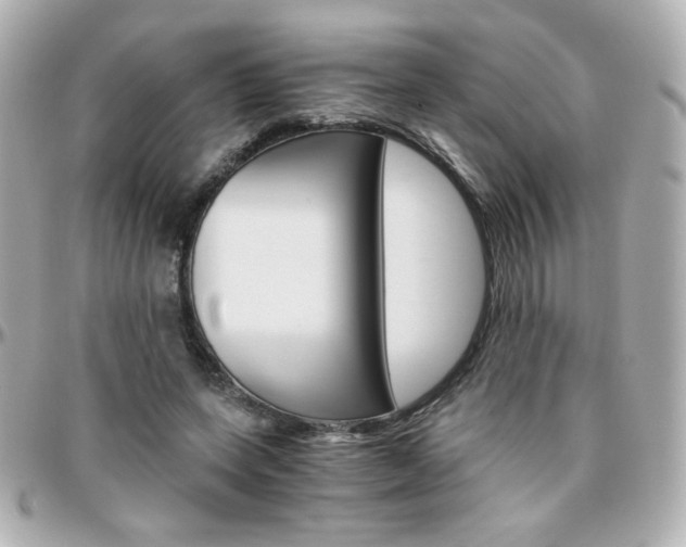 X0000096400543200801241006
