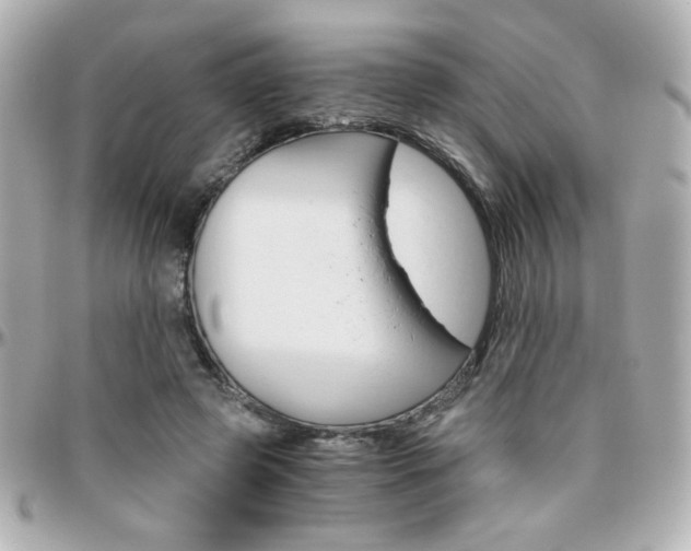 X0000096400545200801241006