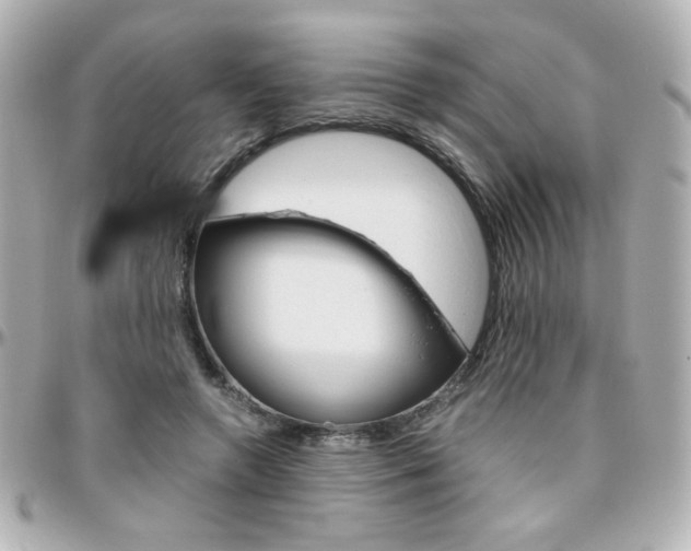 X0000096400546200801241006