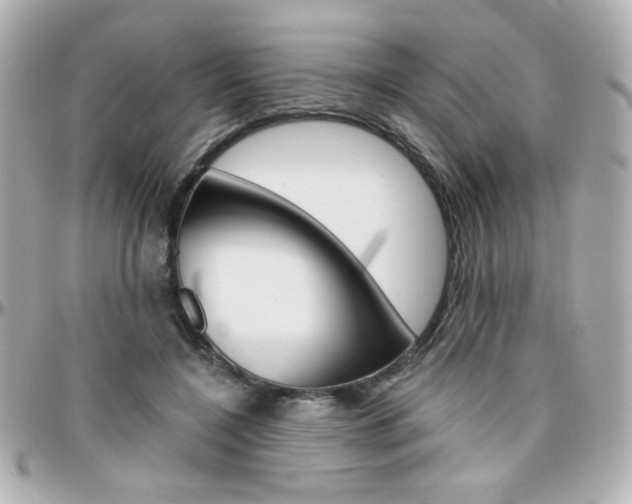 X0000096400548200801241006