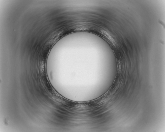 X0000096400549200801241006