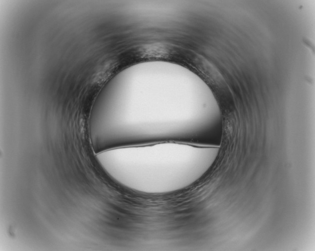 X0000096400551200801241006