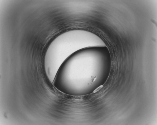X0000096400552200801241006
